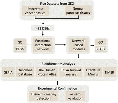 Identification of IFN-Induced Transmembrane Protein 1 With Prognostic Value in Pancreatic Cancer Using Network Module-Based Analysis